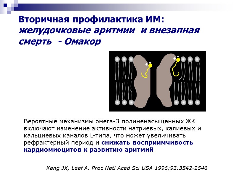 Вторичная профилактика ИМ: желудочковые аритмии  и внезапная смерть  - Омакор Kang JX,